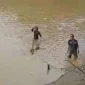 Tim Gabungan Temukan Jasad Pemuda Didik Nugroho yang Hanyut Sejauh 15 Km di Bengawan Madiun. (Dok. FIN)
