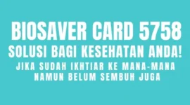 Pemesanan BioSaver Card 5758 di wilayah aglomerasi Jakarta dan sekitarnya, dapat menhhubungi pesan WhatsApp: 0811 115 7788 (Banny).

