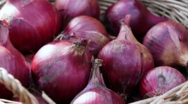 Harga Bawang Merah Mengalami Kenaikan, Menteri Perdagangan  Zulkifli Hasan Ungkap Alasannya