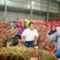 Bapanas Sebut Gerakan Pangan Murah Jadi Instrumen untuk Stabilisasi dan Pengendalian Inflasi Pangan