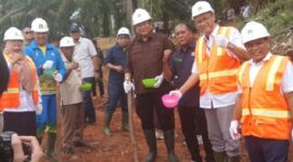 Dukung Ketahanan Pangan, Paya  Pinang Raya Group Inisiasi Padi Gogo sebagai Tanaman Sela di Program PSR
