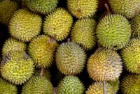 Tiongkok Resmi Buka Akses Ekspor Durian Beku Indonesia. (Pixabay.com/ignartonosbg)
