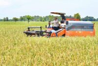 Keberhasilan Presiden Prabowo Subianto dalam membenahi sektor pertanian nasional mendapat apresiasi. (Facebook.com @Setkab RI)